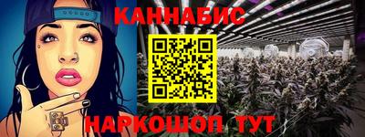 шишки Славгород