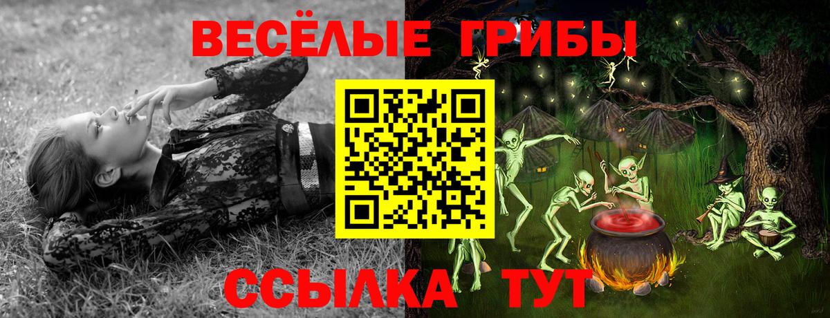 наркотики  Псилоцибиновые грибы Cubensis  Вход с VPN  Камень-на-Оби 