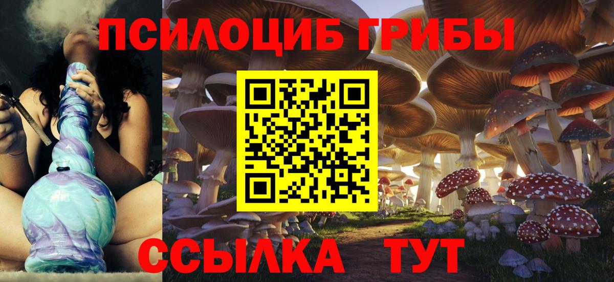 Галлюциногенные грибы MAGIC MUSHROOMS Камень-на-Оби